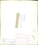 London Zoo, Black Swan. - Vintage Photograph