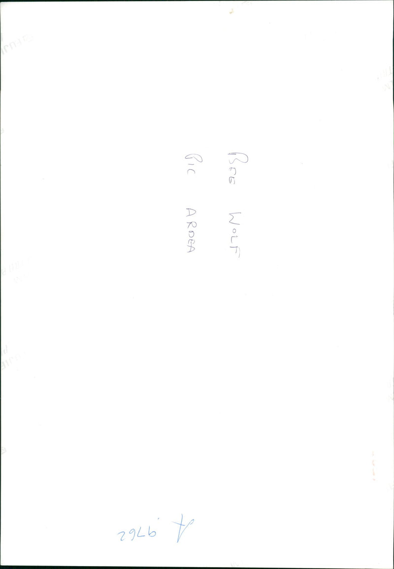 Bee - Vintage Photograph