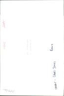 Bee - Vintage Photograph