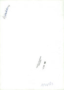 German model Claudia Schiffer - Vintage Photograph