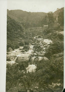 Wales: Fairy Glen, Dwygyfychi - Vintage Photograph