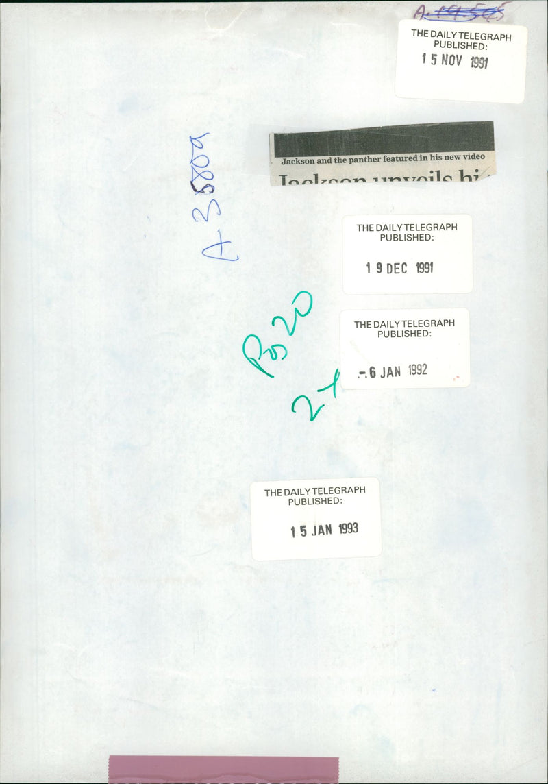 Michael Jackson and panther. - Vintage Photograph