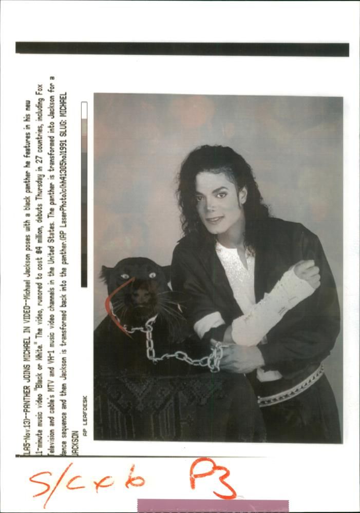 Michael Jackson and panther. - Vintage Photograph