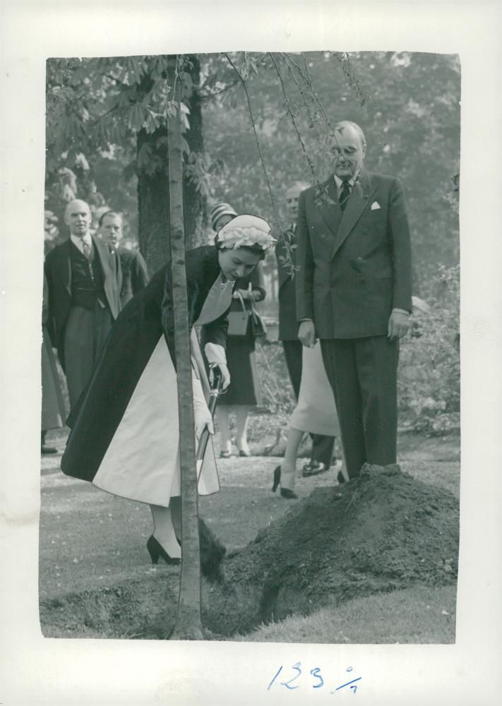 English State Visit in Paris. Queen Elizabeth is planting a tree at the British Embassy in Paris. T.H. Sir Gladwyn Jebb - Vintage Photograph