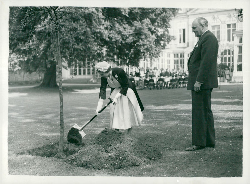 English State Visit in Paris. Queen Elizabeth is planting a tree at the British Embassy in Paris. T.H. Sir Gladwyn Jebb - Vintage Photograph