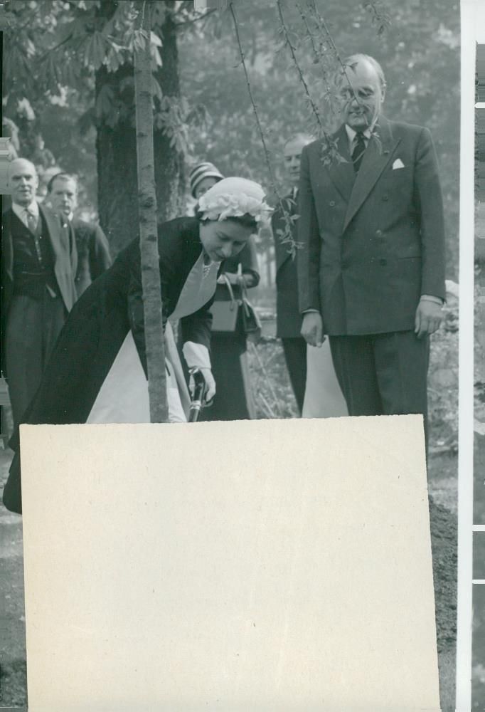 English State Visit in Paris. Queen Elizabeth is planting a tree at the British Embassy in Paris. T.H. Sir Gladwyn Jebb - Vintage Photograph