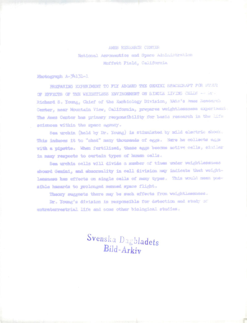 Richard B. Young is preparing an experiment with navy eggs on board Gemini - Vintage Photograph