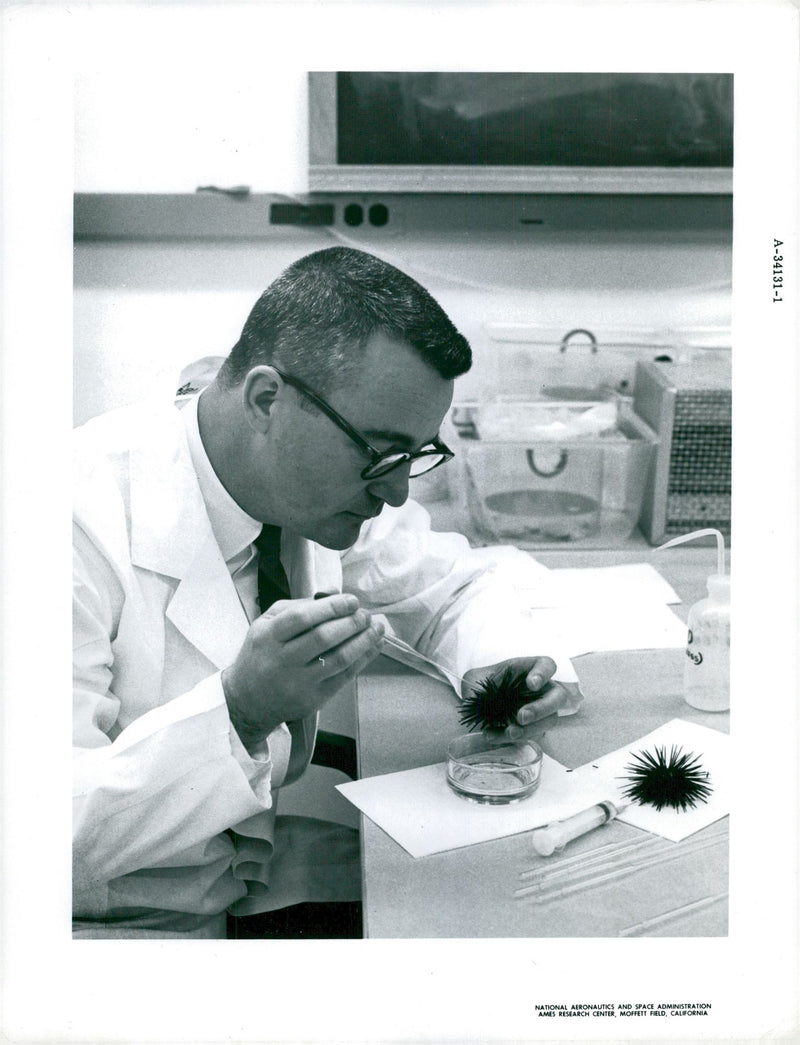 Richard B. Young is preparing an experiment with navy eggs on board Gemini - Vintage Photograph