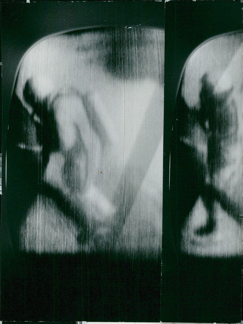 Gemini-4 - Vintage Photograph