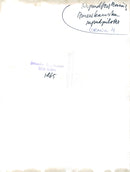 Gemini astronauts James McDivitt and Edward White - Vintage Photograph