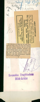 Duke of Kent, Marina, Princess Marina - Vintage Photograph