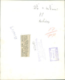 Dog: Saluki - Vintage Photograph