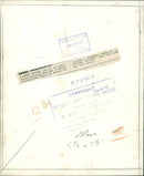 Chihuahua Dog breed - Vintage Photograph