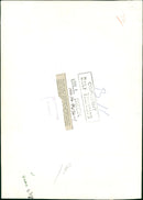 Queen Elizabeth 2 Ship - Vintage Photograph