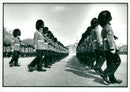 Trooping the Colour (coldstream guards) - Vintage Photograph