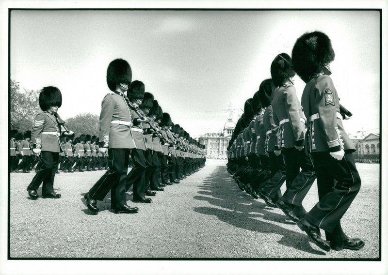 Trooping the Colour (coldstream guards) - Vintage Photograph