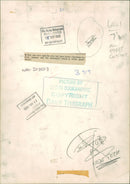 Prince William, Duke of Cambridge Royal Knight of the Garter - Vintage Photograph