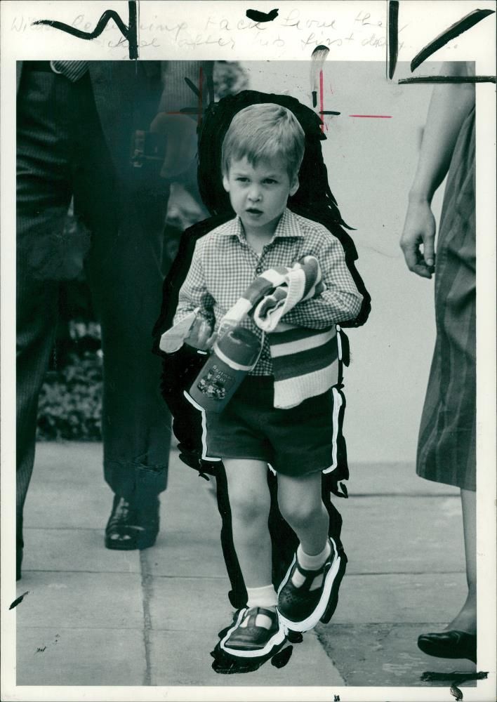 Prince William, Duke of Cambridge Royal Knight of the Garter - Vintage Photograph
