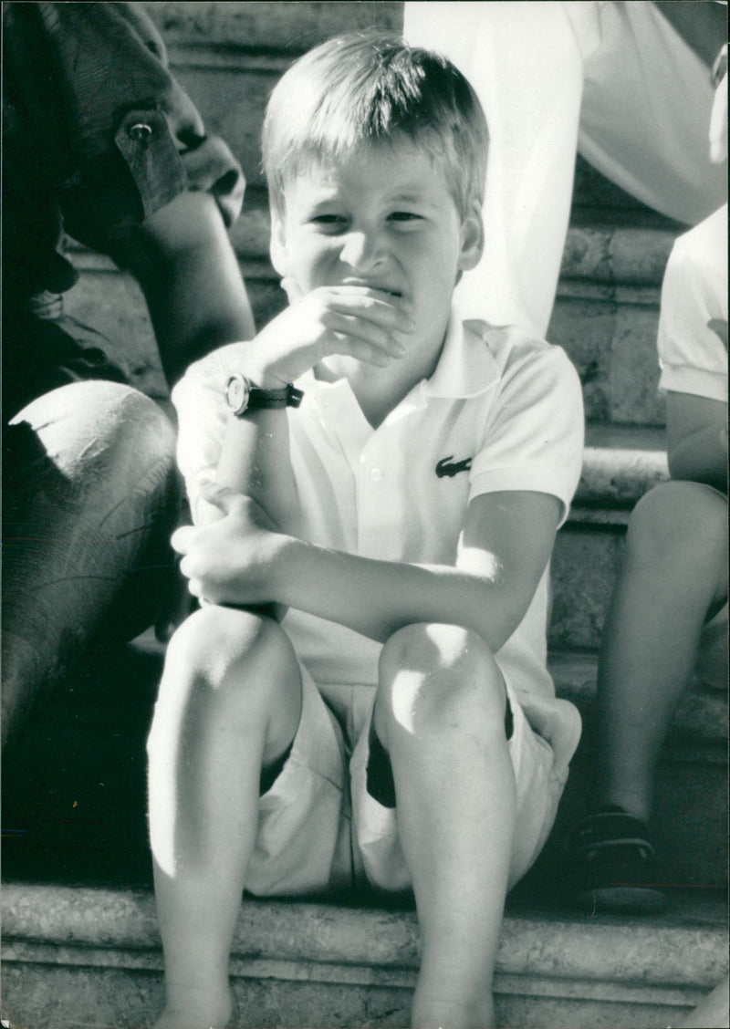 Prince William, Duke of Cambridge Royal Knight of the Garter - Vintage Photograph