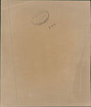 Prince William, Duke of Cambridge Royal Knight of the Garter - Vintage Photograph