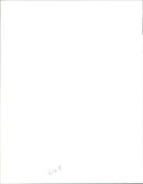 Prince William and harry with prince charles. - Vintage Photograph