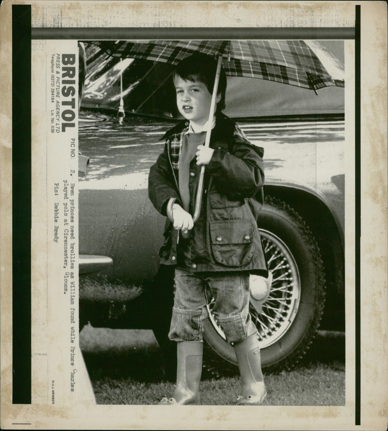 Prince William, Duke of Cambridge Royal Knight of the Garter - Vintage Photograph