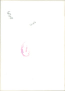 Prince William, Duke of Cambridge Royal Knight of the Garter - Vintage Photograph