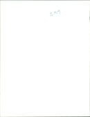 Prince William, Duke of Cambridge Royal Knight of the Garter - Vintage Photograph