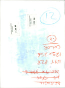 Prince William, Duke of Cambridge Royal Knight of the Garter - Vintage Photograph