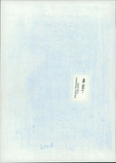 Prince William and prince harry. - Vintage Photograph