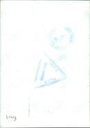 Prince William, Duke of Cambridge Royal Knight of the Garter - Vintage Photograph