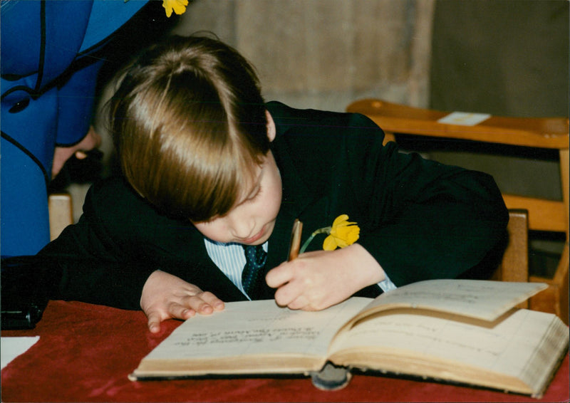 Prince William, Duke of Cambridge Royal Knight of the Garter - Vintage Photograph