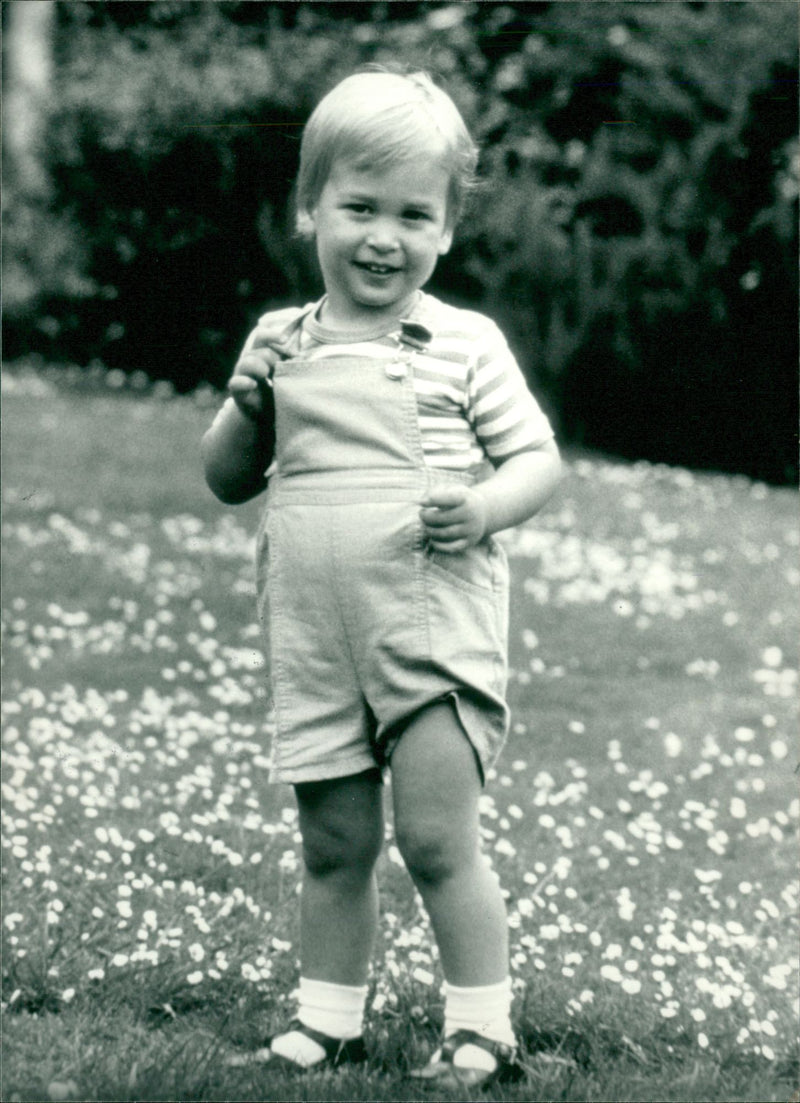 Prince William, Duke of Cambridge Royal Knight of the Garter - Vintage Photograph