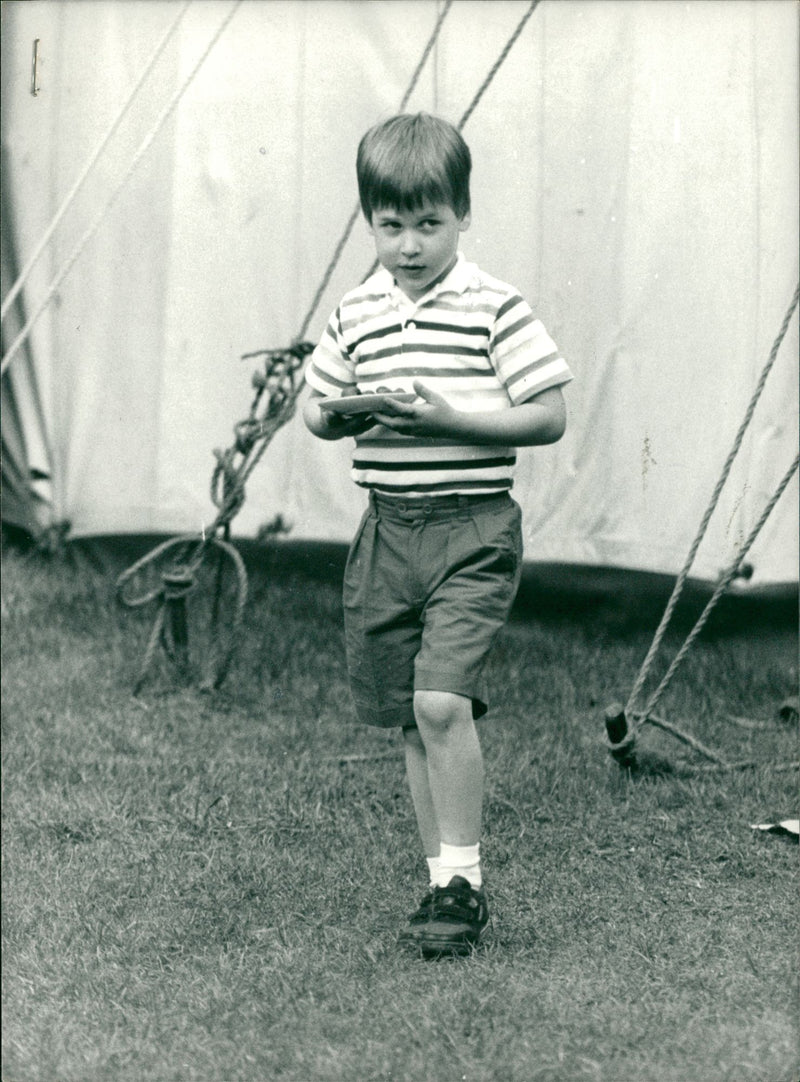 Prince William, Duke of Cambridge Royal Knight of the Garter - Vintage Photograph