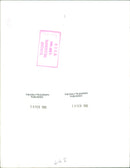 Prince William and prince harry. - Vintage Photograph