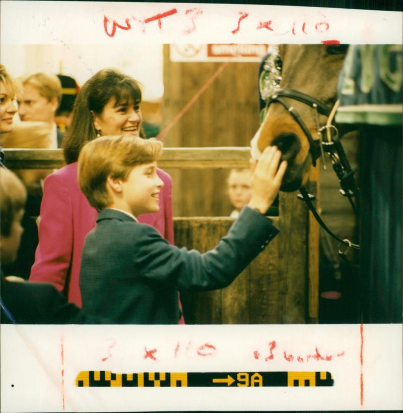 Prince William and prince harry. - Vintage Photograph