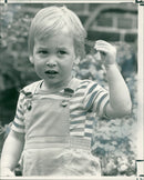 Prince William, Duke of Cambridge Royal Knight of the Garter - Vintage Photograph