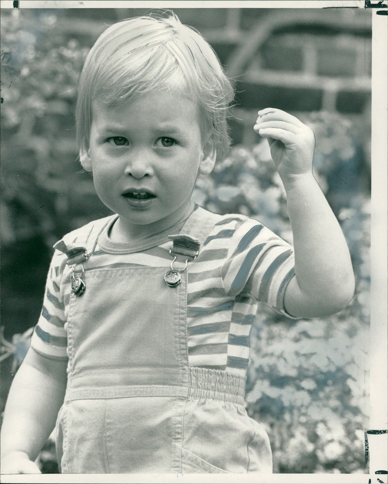 Prince William, Duke of Cambridge Royal Knight of the Garter - Vintage Photograph