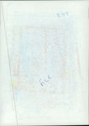 Prince William, Duke of Cambridge with Prince Harry. - Vintage Photograph