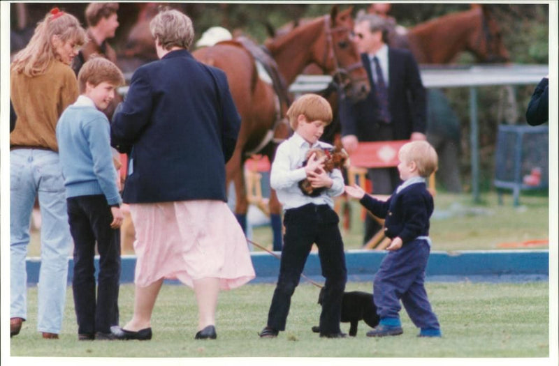 Prince Charles - Vintage Photograph