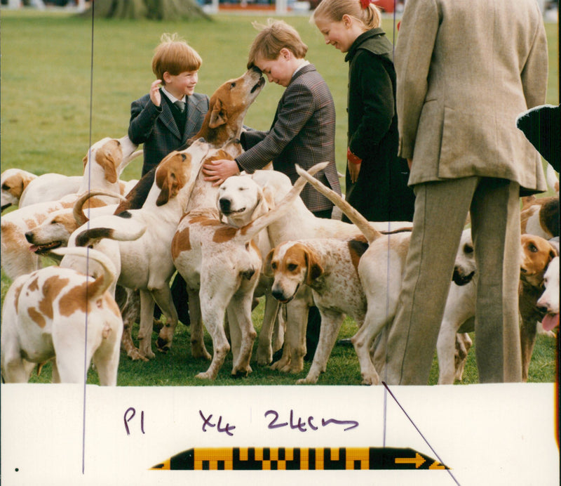 Prince William, Duke of Cambridge with Harry. - Vintage Photograph