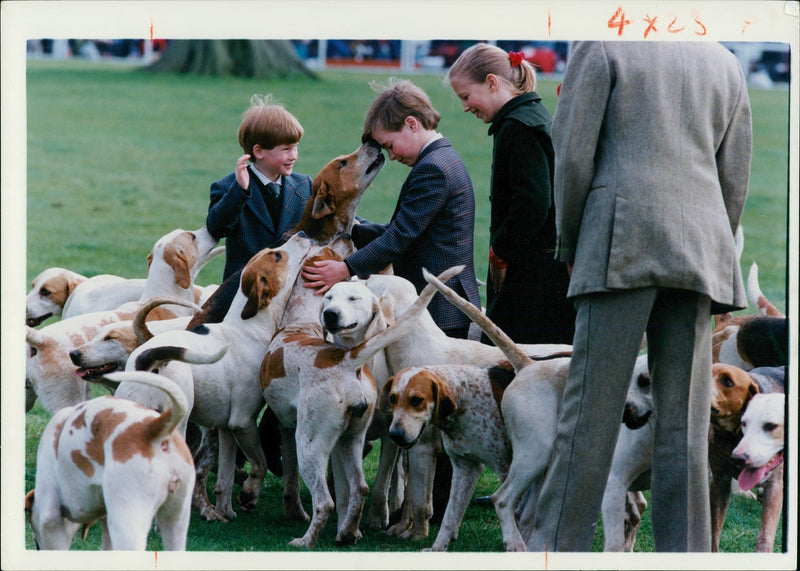 Prince William, Duke of Cambridge with Prince Harry. - Vintage Photograph