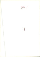 Prince William, Duke of Cambridge - Vintage Photograph