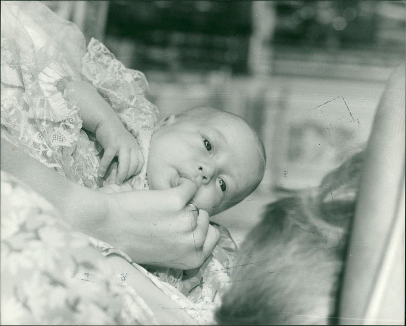 Prince William, Duke of Cambridge - Vintage Photograph