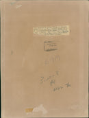 Prince William, Duke of Cambridge - Vintage Photograph