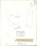 Queen Elizabeth The Queen Mother - Vintage Photograph