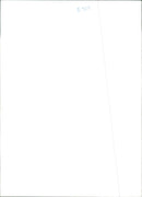 Prince Harry - Vintage Photograph