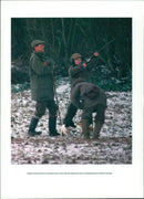 Prince Harry - Vintage Photograph