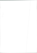 Prince Harry - Vintage Photograph