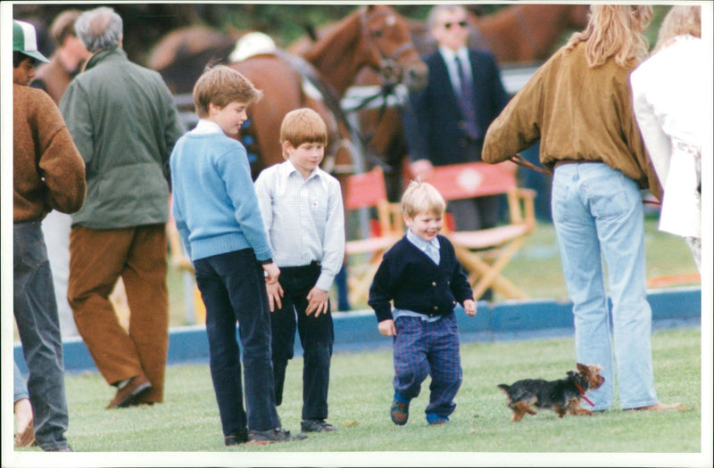 Prince Harry - Vintage Photograph